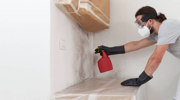 Professional Crawl Space Mold Remediation technician working in Mundelein, IL
